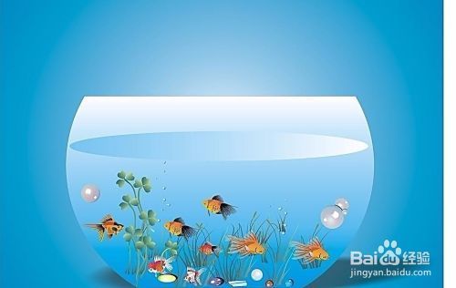 推薦魚缸過濾器，如何維護(hù)魚缸過濾器魚缸過濾器安裝教程 推薦魚缸過濾器，如何維護(hù)魚缸過濾器魚缸過濾器安裝教程 魚缸百科 第1張
