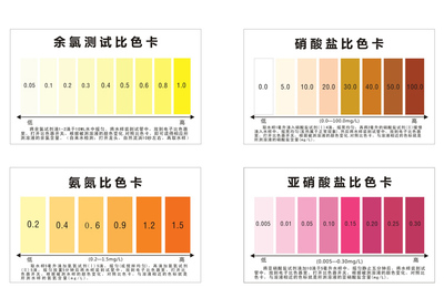 最漂亮的龍魚圖片大全：探尋龍魚之美，邂逅那最漂亮的龍魚圖片背后的故事