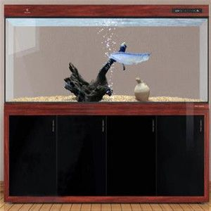 可麗愛魚缸怎么看型號大小，可麗愛水族箱魚缸型號大小
