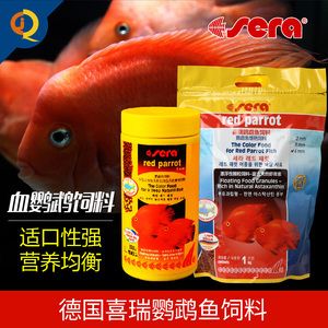 紅龍魚和元寶鳳凰混養(yǎng)可以嗎(寶藍鳳凰魚能混養(yǎng)嗎) 元寶鳳凰魚百科 第2張 紅龍魚和元寶鳳凰混養(yǎng)可以嗎(寶藍鳳凰魚能混養(yǎng)嗎) 紅龍魚和元寶鳳凰混養(yǎng)可以嗎(寶藍鳳凰魚能混養(yǎng)嗎) 元寶鳳凰魚百科 第2張