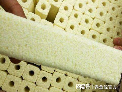 如何觀察并預(yù)防魚(yú)缸內(nèi)沖突，如何觀察和預(yù)防魚(yú)缸內(nèi)的沖突 如何觀察并預(yù)防魚(yú)缸內(nèi)沖突，如何觀察和預(yù)防魚(yú)缸內(nèi)的沖突 虎魚(yú)百科 第5張