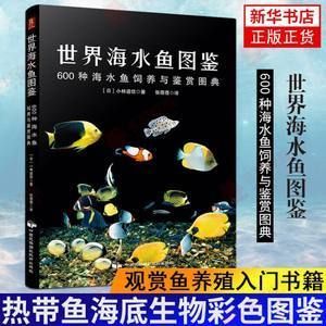 觀賞魚海魚怎么養(yǎng)殖好（根據(jù)搜索結(jié)果整理的海水觀賞魚養(yǎng)殖方法）