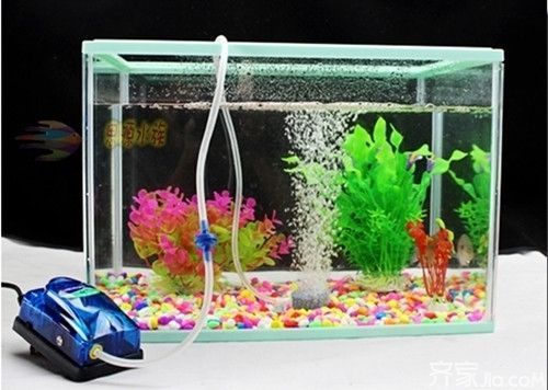 哪個(gè)牌子的魚(yú)缸氧氣泵好，如何挑選適合大型魚(yú)缸的氧氣泵
