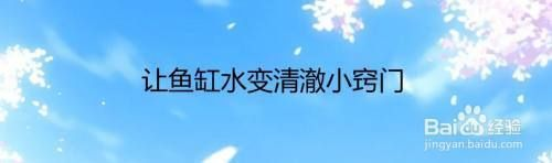 怎么讓魚缸里面的水變清澈,如何正確使用魚缸過濾器魚缸水質(zhì)惡化的常見原因 魚缸百科 第6張 怎么讓魚缸里面的水變清澈,如何正確使用魚缸過濾器魚缸水質(zhì)惡化的常見原因 怎么讓魚缸里面的水變清澈,如何正確使用魚缸過濾器魚缸水質(zhì)惡化的常見原因 魚缸百科 第6張