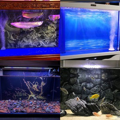 買魚缸買什么牌子的好 視頻，購買魚缸時(shí)選擇哪個(gè)牌子好