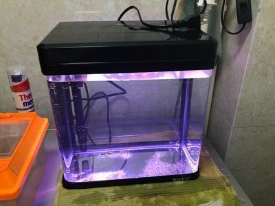金龍魚魚缸價格多少錢一個啊，金龍魚魚缸價格 金龍魚魚缸價格多少錢一個啊，金龍魚魚缸價格 魚缸百科 第5張