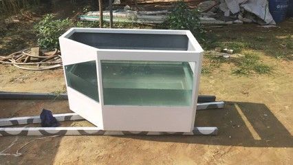 魟魚能清理魚缸垃圾：魟魚有一定的清理魚缸垃圾的能力以下是具體的解釋 魟魚能清理魚缸垃圾：魟魚有一定的清理魚缸垃圾的能力以下是具體的解釋 魟魚百科 第4張