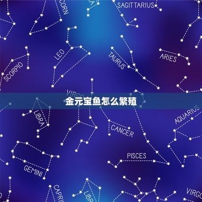 元寶鳳凰魚的繁殖技巧:元寶鳳凰魚的繁殖方法 元寶鳳凰魚百科 第7張 元寶鳳凰魚的繁殖技巧:元寶鳳凰魚的繁殖方法 元寶鳳凰魚的繁殖技巧:元寶鳳凰魚的繁殖方法 元寶鳳凰魚百科 第7張