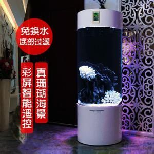 魚缸彩屏什么意思：魚缸彩屏的價格范圍 魚缸彩屏什么意思：魚缸彩屏的價格范圍 魚缸百科 第3張
