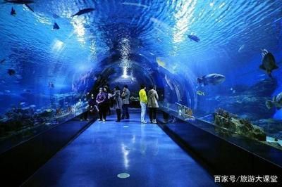 水族館開門了嗎今天（上海水族館今天是否開門） 水族館開門了嗎今天（上海水族館今天是否開門） 水族館百科（水族館加盟） 第4張