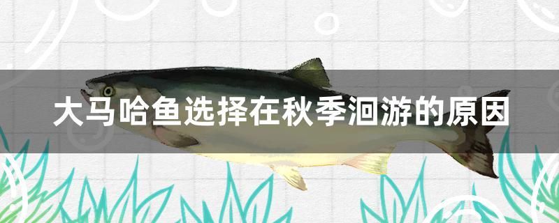 養魚魚缸（ 養魚魚缸放在客廳一進門就看的到可以嗎）