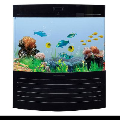 可麗愛魚缸型號與價格一樣嗎圖片對比，可麗愛魚缸內部設置詳解亞克力魚缸與玻璃區別