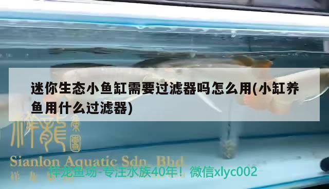 家里魚缸水泵怎么安裝圖解，如何清潔魚缸底部魚缸水泵故障排查