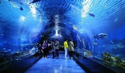水族館是啥意思（上海海洋水族館特色展覽有哪些水族館對環保意識提升作用） 水族館是啥意思（上海海洋水族館特色展覽有哪些水族館對環保意識提升作用） 水族館百科（水族館加盟） 第2張