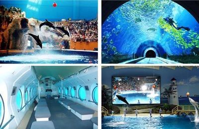 水族館是啥意思（上海海洋水族館特色展覽有哪些水族館對環保意識提升作用） 水族館是啥意思（上海海洋水族館特色展覽有哪些水族館對環保意識提升作用） 水族館百科（水族館加盟） 第3張
