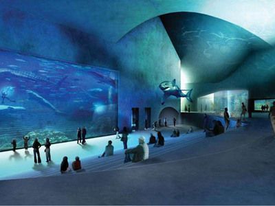 水族館是啥意思（上海海洋水族館特色展覽有哪些水族館對環保意識提升作用） 水族館是啥意思（上海海洋水族館特色展覽有哪些水族館對環保意識提升作用） 水族館百科（水族館加盟） 第5張