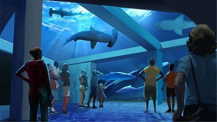水族館是啥意思（上海海洋水族館特色展覽有哪些水族館對環保意識提升作用） 水族館是啥意思（上海海洋水族館特色展覽有哪些水族館對環保意識提升作用） 水族館百科（水族館加盟） 第4張