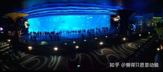 水族館是啥意思（上海海洋水族館特色展覽有哪些水族館對環保意識提升作用） 水族館是啥意思（上海海洋水族館特色展覽有哪些水族館對環保意識提升作用） 水族館百科（水族館加盟） 第6張