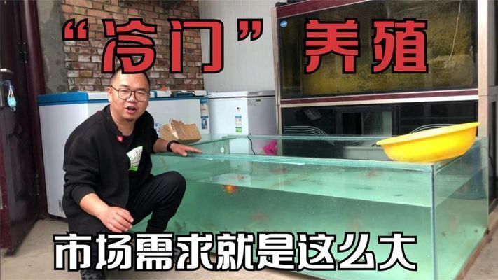 水族館利潤率高嗎（如何提高水族館的利潤率）