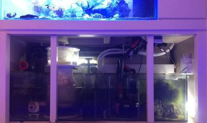 混養缸物理過濾器選擇指南,物理過濾器的選擇 虎魚百科 第2張 混養缸物理過濾器選擇指南,物理過濾器的選擇 混養缸物理過濾器選擇指南,物理過濾器的選擇 虎魚百科 第2張