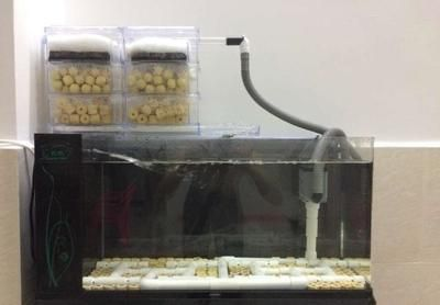 混養缸物理過濾器選擇指南,物理過濾器的選擇 虎魚百科 第3張 混養缸物理過濾器選擇指南,物理過濾器的選擇 混養缸物理過濾器選擇指南,物理過濾器的選擇 虎魚百科 第3張