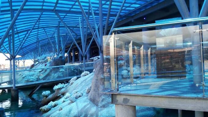 水族館建設方案（關于水族館建設方案的詳情）