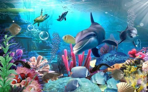 水族館游記作文（水族館游記在陽(yáng)光明媚的一天，我有幸參觀了當(dāng)?shù)氐乃屦^） 水族館游記作文（水族館游記在陽(yáng)光明媚的一天，我有幸參觀了當(dāng)?shù)氐乃屦^） 水族館百科（水族館加盟） 第4張