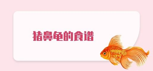 豬鼻龜食譜：光喜暗光,解析豬鼻龜是一種)食性水生爬行動物