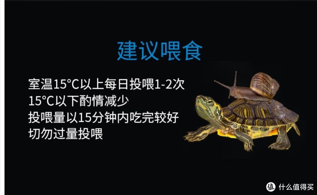 豬鼻龜可以食用嗎：-駕照網(wǎng)豬鼻龜怎么養(yǎng)才好-駕照網(wǎng)豬鼻龜怎么養(yǎng)才好 豬鼻龜可以食用嗎：-駕照網(wǎng)豬鼻龜怎么養(yǎng)才好-駕照網(wǎng)豬鼻龜怎么養(yǎng)才好 豬鼻龜百科 第3張