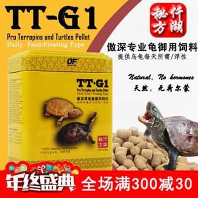 豬鼻龜可以食用嗎：-駕照網(wǎng)豬鼻龜怎么養(yǎng)才好-駕照網(wǎng)豬鼻龜怎么養(yǎng)才好 豬鼻龜可以食用嗎：-駕照網(wǎng)豬鼻龜怎么養(yǎng)才好-駕照網(wǎng)豬鼻龜怎么養(yǎng)才好 豬鼻龜百科 第6張