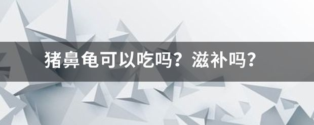 豬鼻龜可以食用嗎：-駕照網(wǎng)豬鼻龜怎么養(yǎng)才好-駕照網(wǎng)豬鼻龜怎么養(yǎng)才好 豬鼻龜可以食用嗎：-駕照網(wǎng)豬鼻龜怎么養(yǎng)才好-駕照網(wǎng)豬鼻龜怎么養(yǎng)才好 豬鼻龜百科 第10張