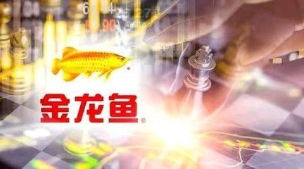 金龍魚為何大漲