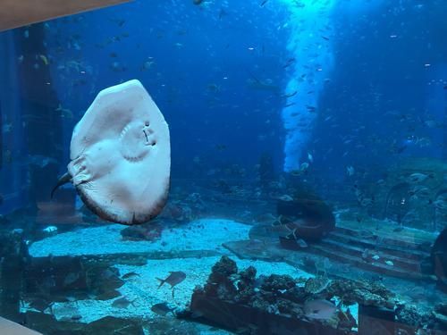 海口的水族館（海南省海口市水族館）
