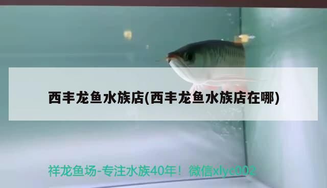 西豐龍魚水族店(西豐龍魚水族店在哪)