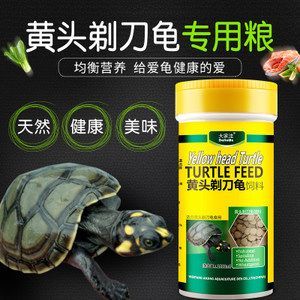 豬鼻龜長到多大喂下沉飼料好：豬鼻龜喂多少合適，