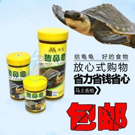 豬鼻龜長(zhǎng)到多大喂下沉飼料好：豬鼻龜喂多少合適，