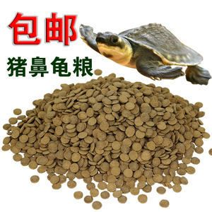 豬鼻龜長(zhǎng)到多大喂下沉飼料好：豬鼻龜喂多少合適，