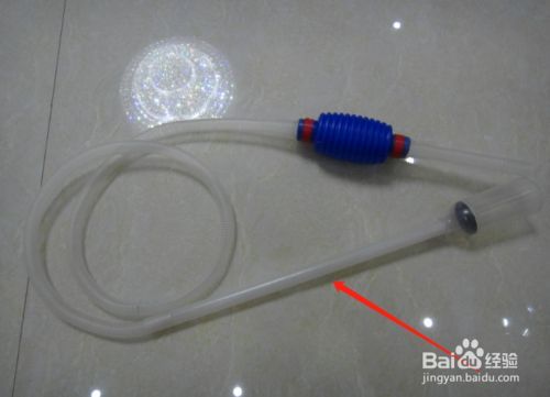 金龍魚換水的最佳時機:金龍魚換水的最佳時機應該結合季節變化、金龍魚不同季節換水比例 金龍魚百科 第6張 金龍魚換水的最佳時機:金龍魚換水的最佳時機應該結合季節變化、金龍魚不同季節換水比例 金龍魚換水的最佳時機:金龍魚換水的最佳時機應該結合季節變化、金龍魚不同季節換水比例 金龍魚百科 第6張