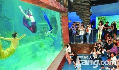 開一個水族館需要什么手續呢（水族館設計裝修要點）
