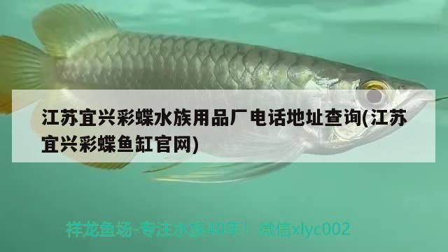 魚缸怎么過濾水才清（魚缸如何過濾強大）