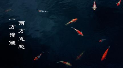 觀賞魚仰著游（觀賞魚仰著游可能由多種原因引起觀賞魚健康的關鍵因素） 觀賞魚仰著游（觀賞魚仰著游可能由多種原因引起觀賞魚健康的關鍵因素） 錦鯉魚百科 第5張