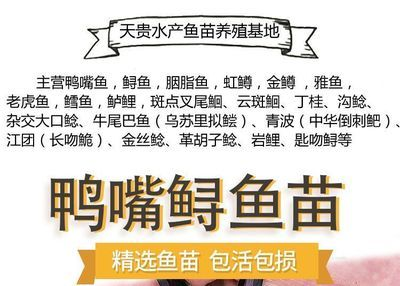 虎魚苗飼料品牌推薦，虎魚苗飼料品牌推薦，選擇優質魚飼料助力虎魚健康成長