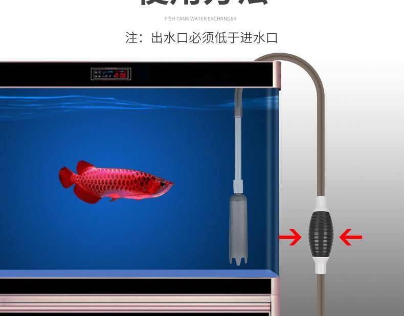 魚缸虹吸圖片：關(guān)于魚缸虹吸的詳細(xì)解釋和工作原理圖解