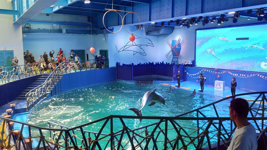 水族館有些什么（上海海洋水族館特色展覽介紹水族館互動體驗有哪些）