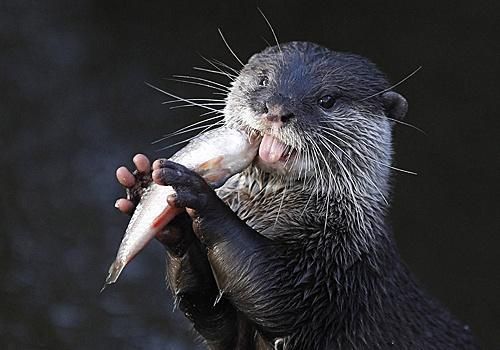 東莞水族館我不賣藥不賣魚就是大家溝通交流治魚救魚