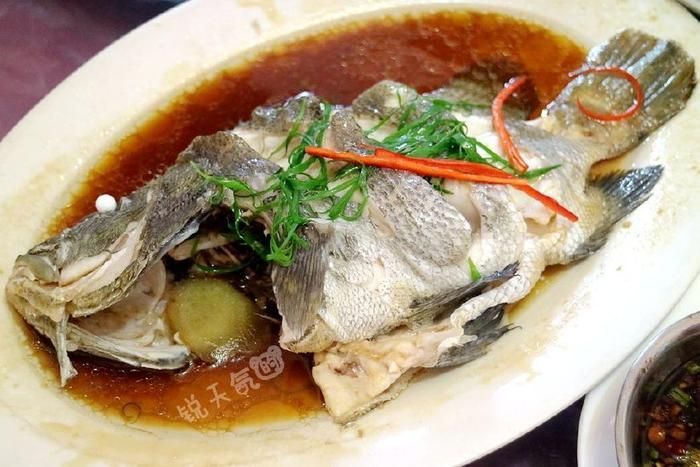 魟魚可以加鹽嗎怎么做：魟魚可以加鹽嗎怎么做[需手動填充]魚可以加鹽嗎怎么做 魟魚可以加鹽嗎怎么做：魟魚可以加鹽嗎怎么做[需手動填充]魚可以加鹽嗎怎么做 魟魚百科 第1張