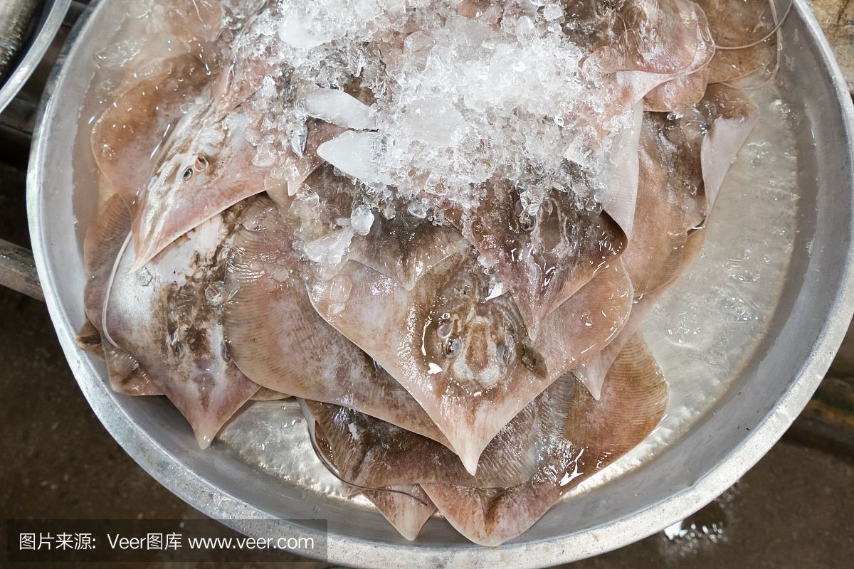 魟魚可以加鹽嗎怎么做：魟魚可以加鹽嗎怎么做[需手動填充]魚可以加鹽嗎怎么做 魟魚可以加鹽嗎怎么做：魟魚可以加鹽嗎怎么做[需手動填充]魚可以加鹽嗎怎么做 魟魚百科 第4張