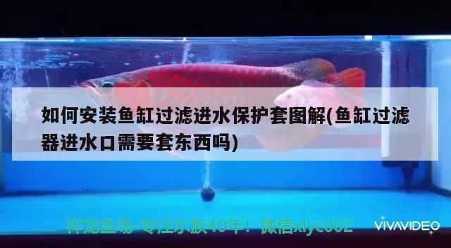 如何安裝魚缸過濾進水保護套圖解(魚缸過濾器進水口需要套東西嗎)