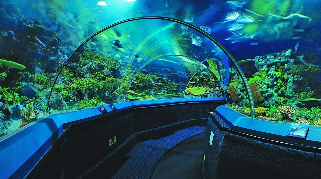 哪個水族館好玩（上海海洋水族館親子活動安排,）