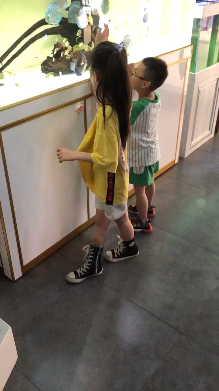 我要說楊穎來店看魚有人信么 我要說楊穎來店看魚有人信么 黃金貓魚百科 第1張
